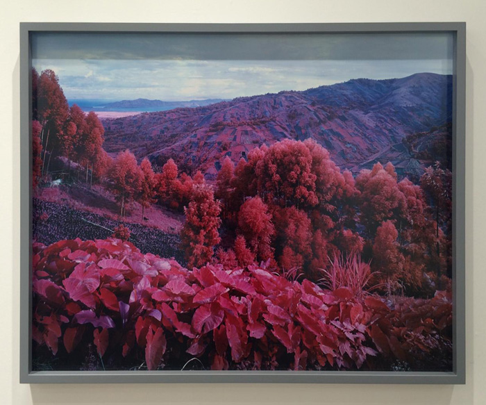 Richard Mosse, I shall be released, 2015, Carlier Gebauer - Paris Photo 2018 - Image courtesy of the artist and the gallery - Photo by the PhotoPhore