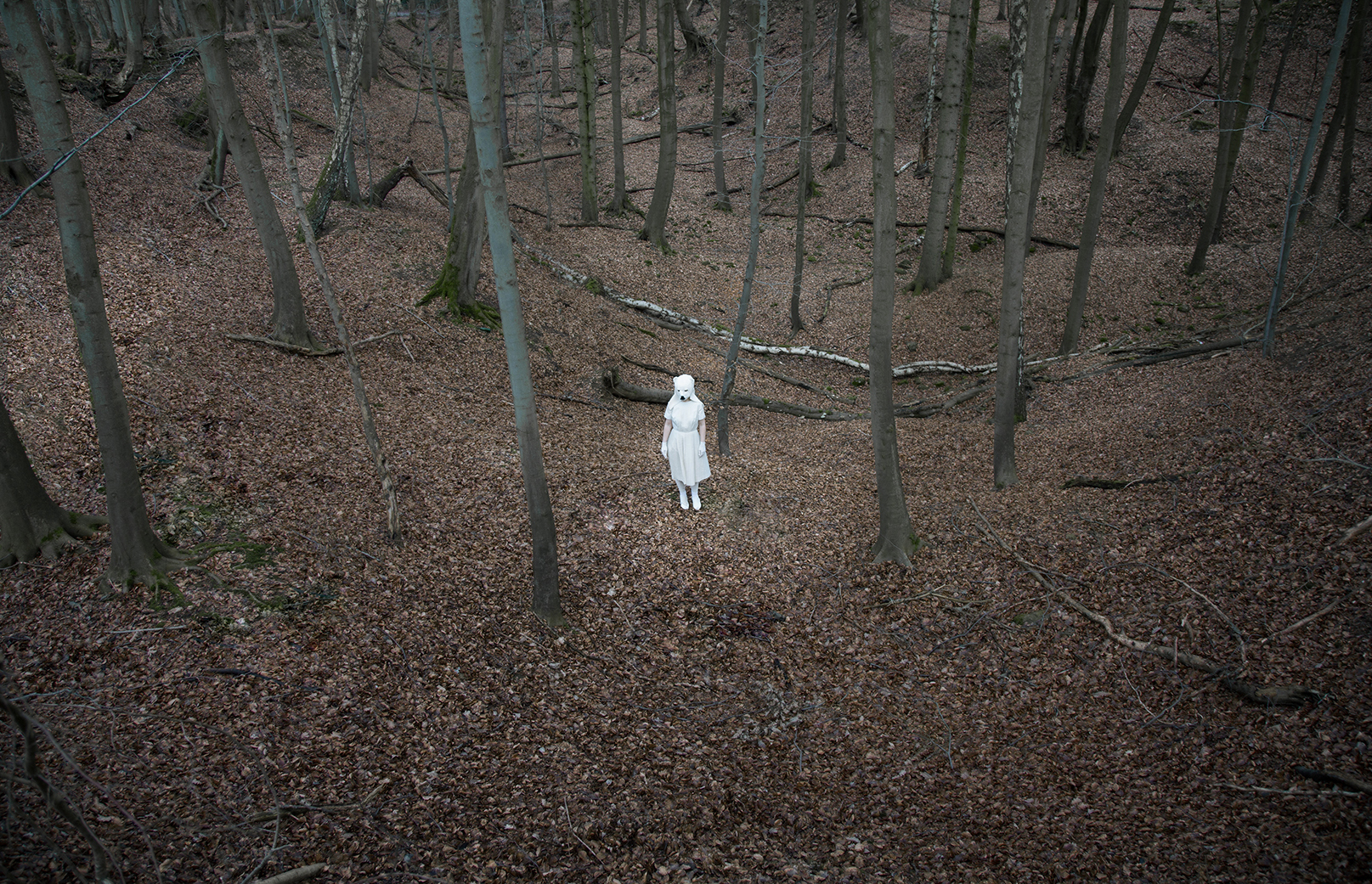 Nina Karin Monsen 2014 philo
