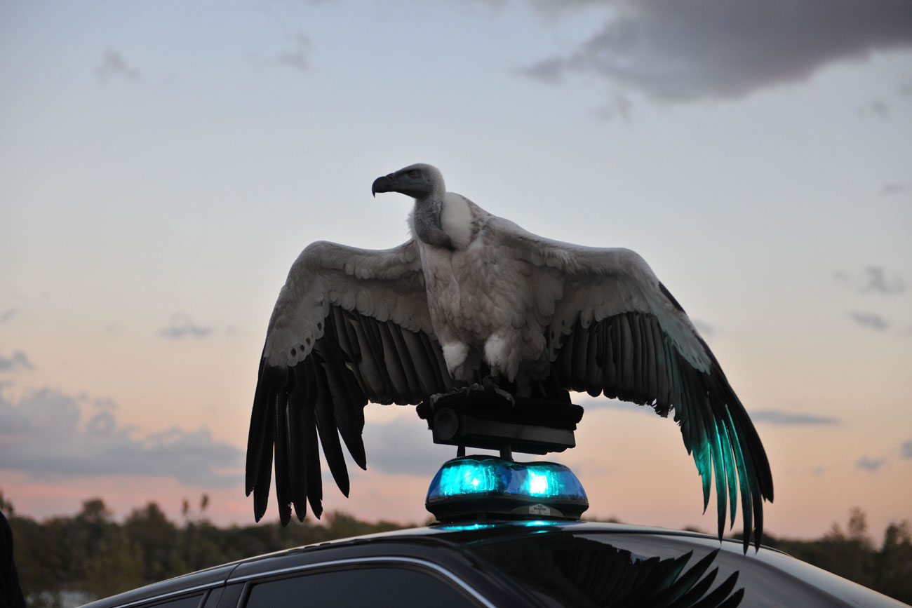 river of fundament