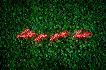 Lights on Olivia Steele