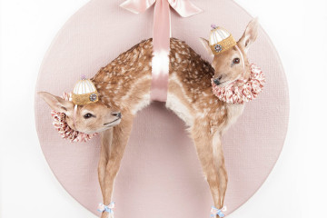 Humor and taxidermy by Les Deux Garçons