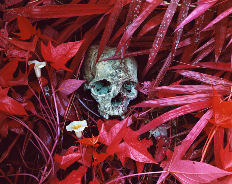 richard_mosse_005