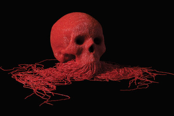 Jim Skull’s vocation