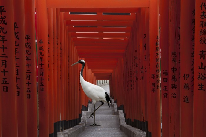 karen_knorr_001