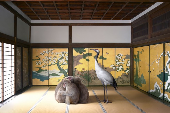 karen_knorr_002