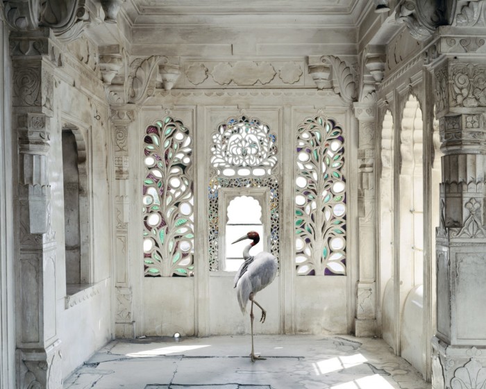 karen_knorr_003