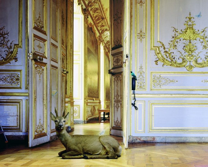 karen_knorr_007