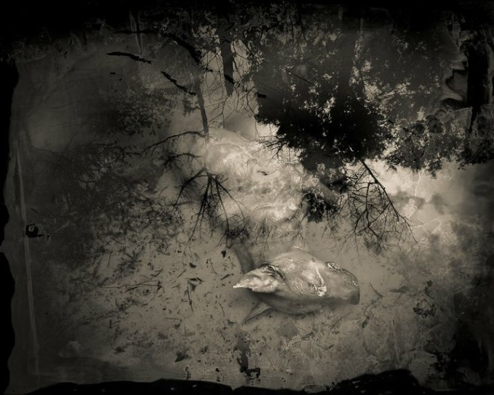 keith_carter_002