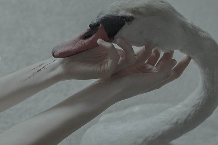 laura_makabresku_007