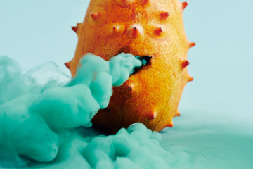 Maciek Jasik: The Secret Lives of Fruits and Vegetables