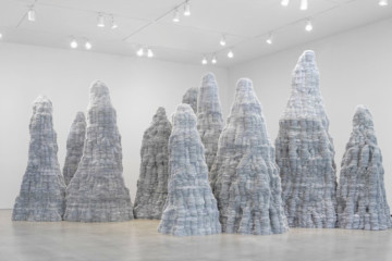 Tara Donovan’s large-scale installations