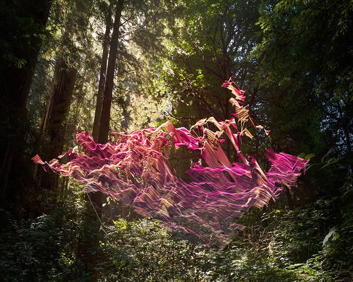 mark_dorf_003