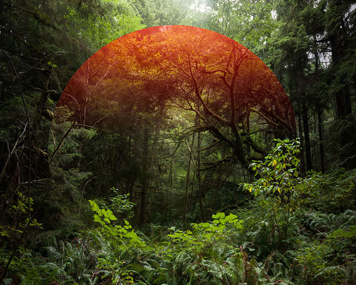 mark_dorf_004