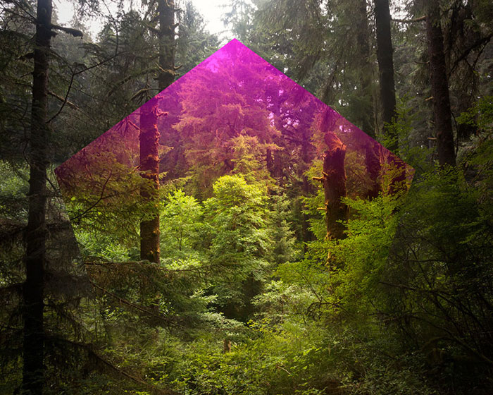 mark_dorf_007