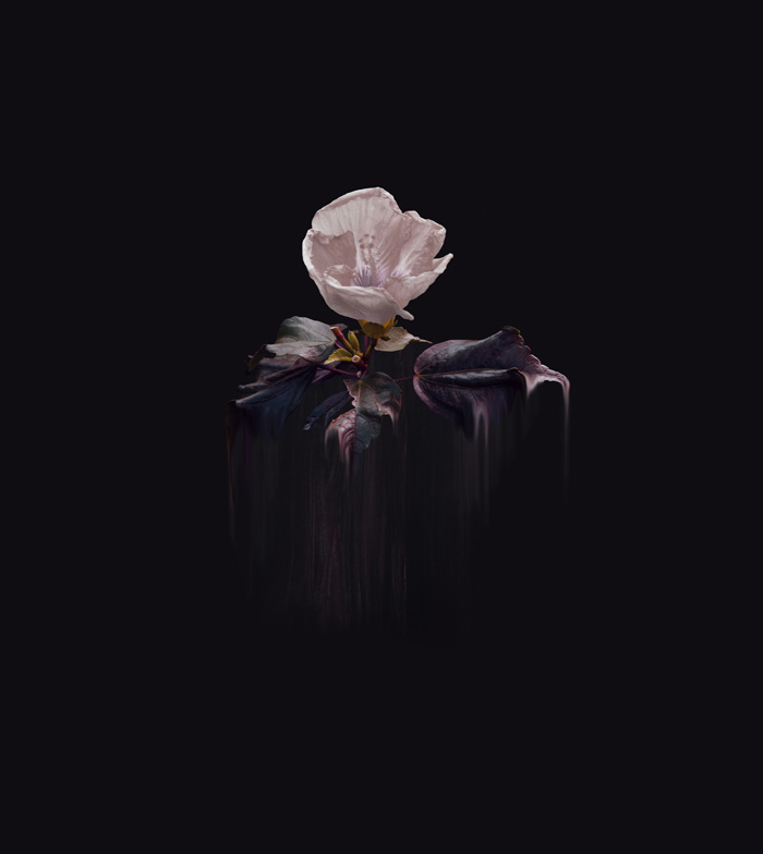 simone_truong_001