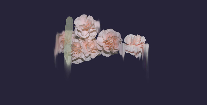 simone_truong_008
