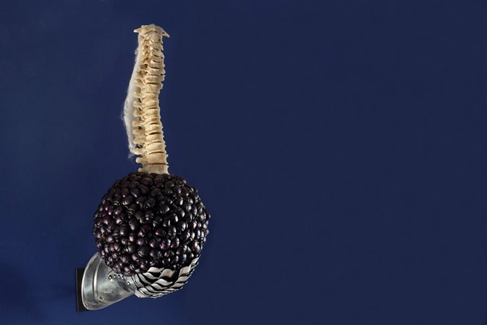 jan_fabre_005