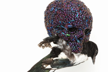 Jan Fabre at Ronchini Gallery