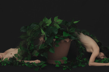 Ahn Sun Mi: dreaming self-portraits