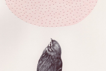 Marielle Degioanni: illustration of nature