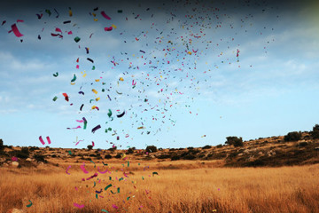 LIGHT ON: “Confettical landscape” by Yigal Pardo