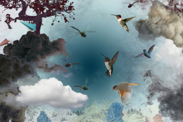 Mystical photography by Guang-Yu Zhang