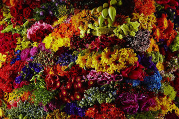 Botanical sculpture by Azuma Makoto