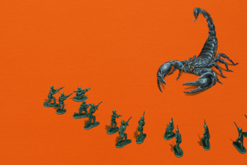 Marcel Witte’s animals