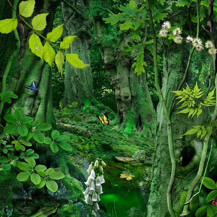 ruud_van_empel_008