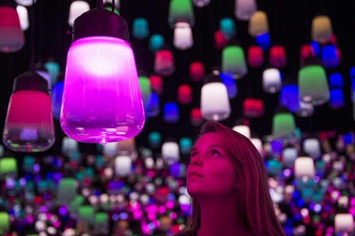 teamlab_002
