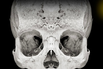 LIGHT ON: David Orr at The Mütter Museum