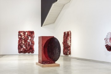 Anish Kapoor at MACRO