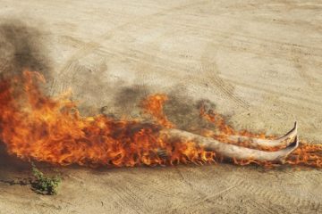 PIETER HUGO – La Cucaracha