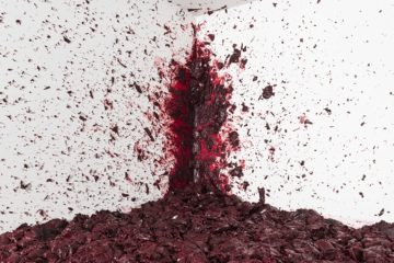Anish Kapoor in Venice