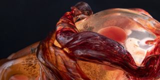 The Italian Glass Weeks 2022 – Focus Venezia